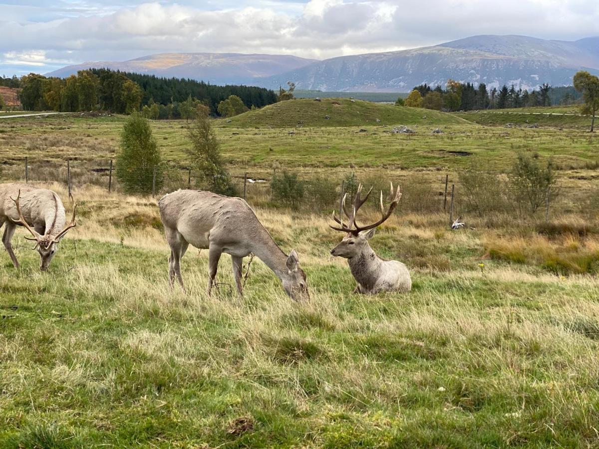 Hotel Ardenbeg Grantown-on-Spey Esterno foto